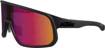 Factory Enduro II Sonnenbrille Polorized C3 Revo Red