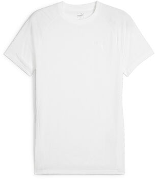 Evostripe T-Shirt