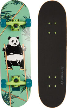SKB 305 Skateboard