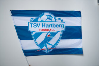 TSV Hartberg Fahne