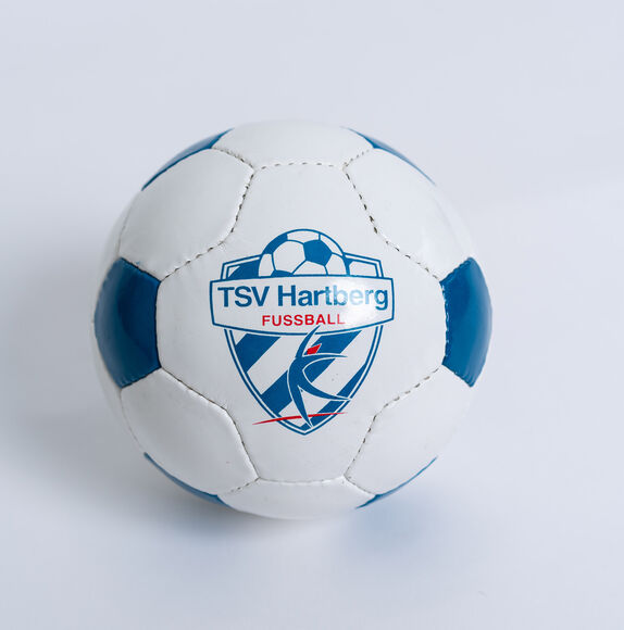 TSV Hartberg PAOL Miniball