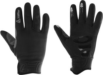 Gloves WS Warm GTX Handschuhe